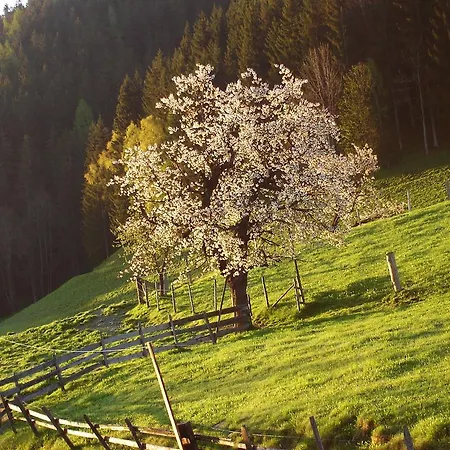 公寓 Greti 斯拉德明