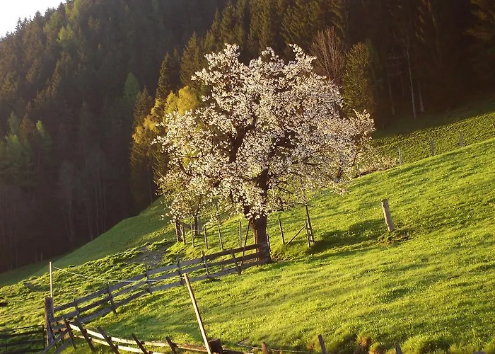 Daire Greti Schladming